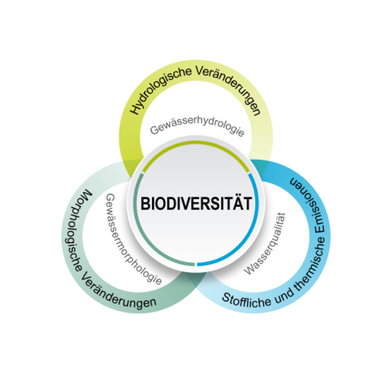 Biodiversität und abiotische Steuerungsfaktoren